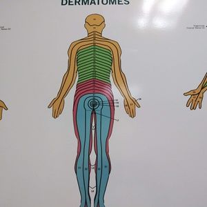 Meet your Posher, Elaine